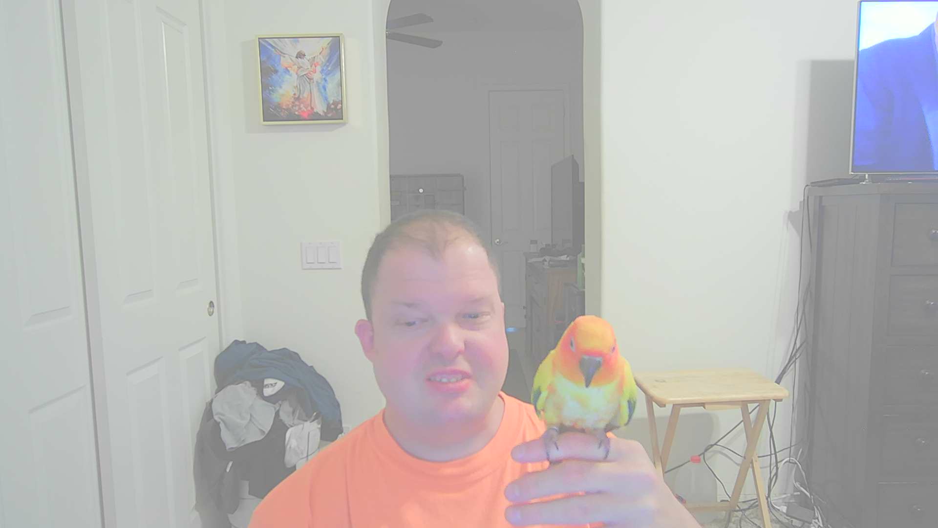 Jeffrey Willeford author photo